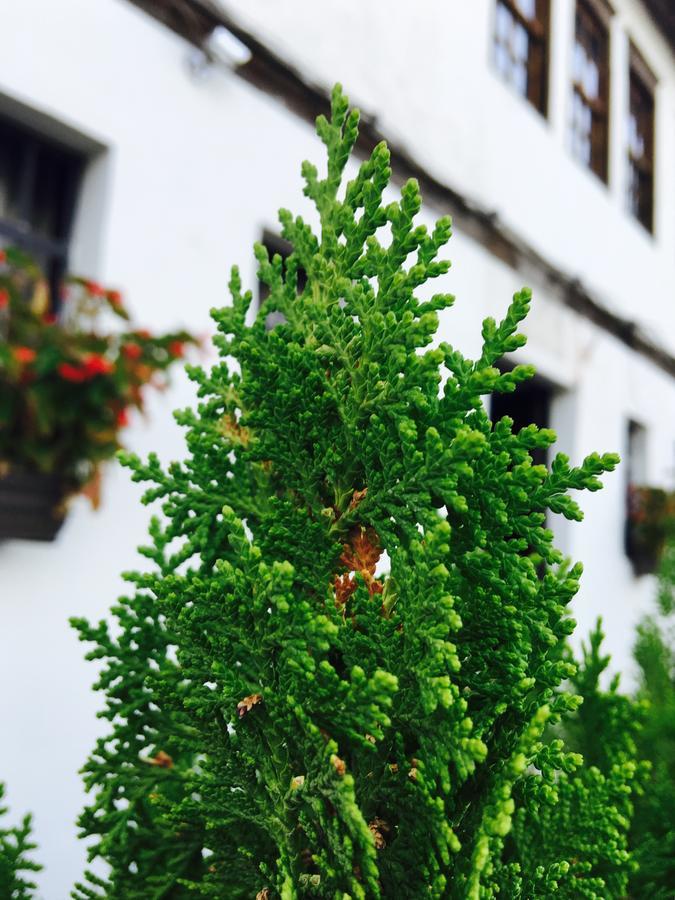 Hotel Omer Berat Eksteriør billede